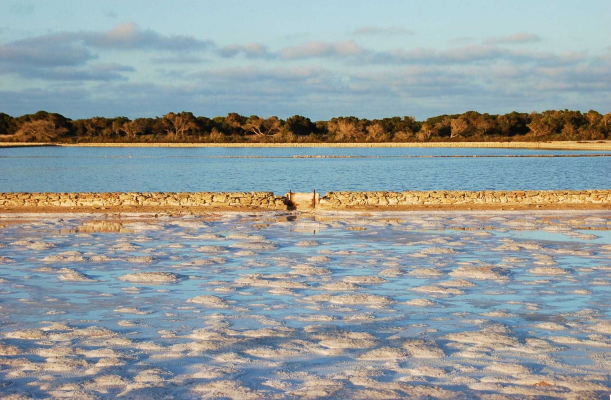 El Parque Natural de Ses Salines: Belleza Protegida